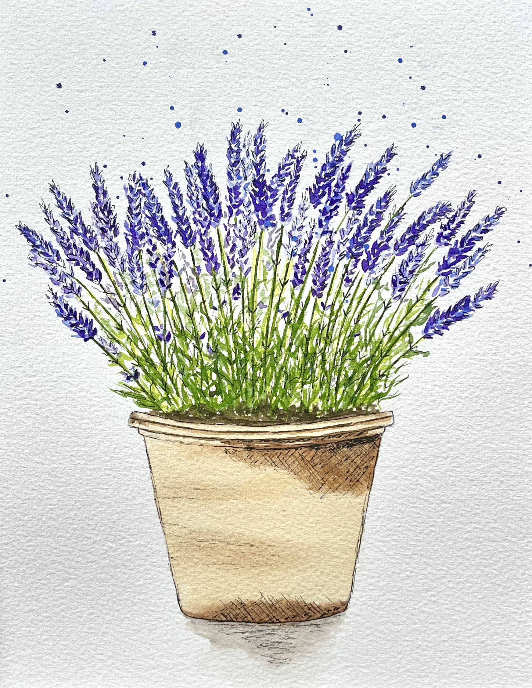Cosmos watercolor painting