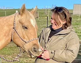 Bunny the horse receiving Reiki