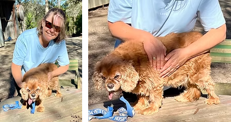 Charlie receiving Reiki