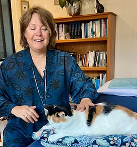 Maisie the cat receiving Reiki