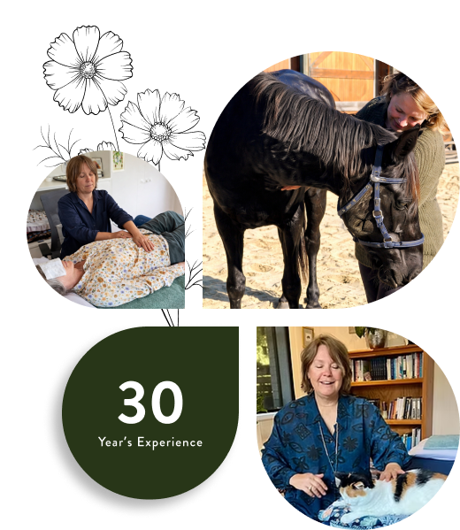 About Reiki — 30 years experience