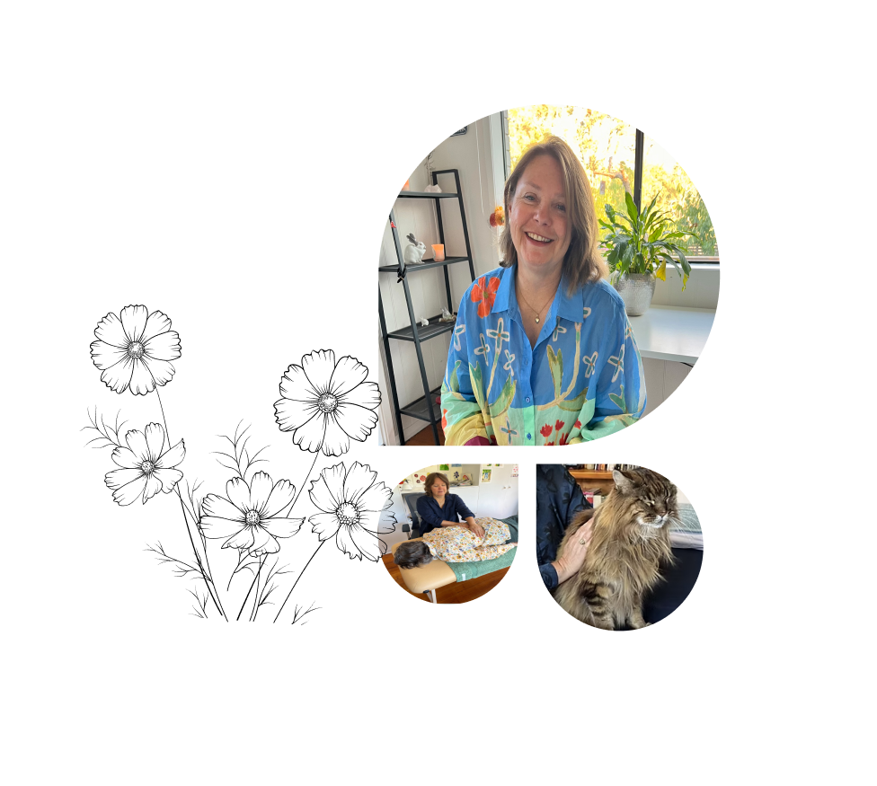 Reiki for people and animals