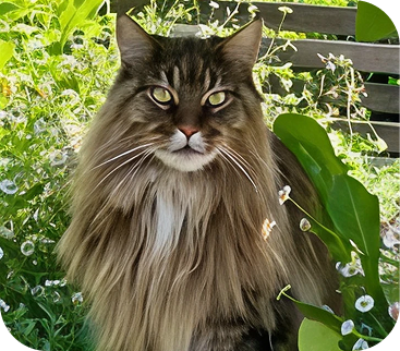 Pepper