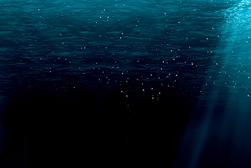 The Fear of ‘Letting Go’